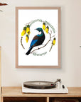 Artistic Series Tui in Kowhai Art Print