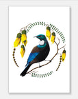 Artistic Series Tui in Kowhai Art Print
