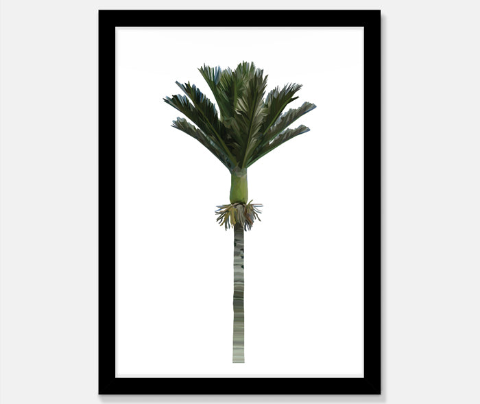 Nikau Art Print Your Decal Shop Wall Decal NZ