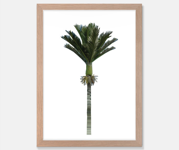 Nikau Art Print Your Decal Shop Wall Decal NZ