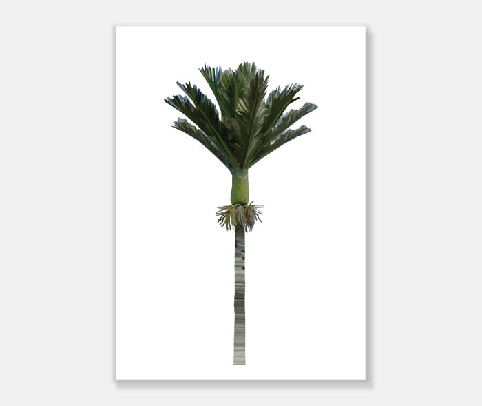 Nikau Art Print Your Decal Shop Wall Decal NZ