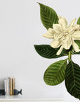 Oval Leaved Gardenia Wall Decal