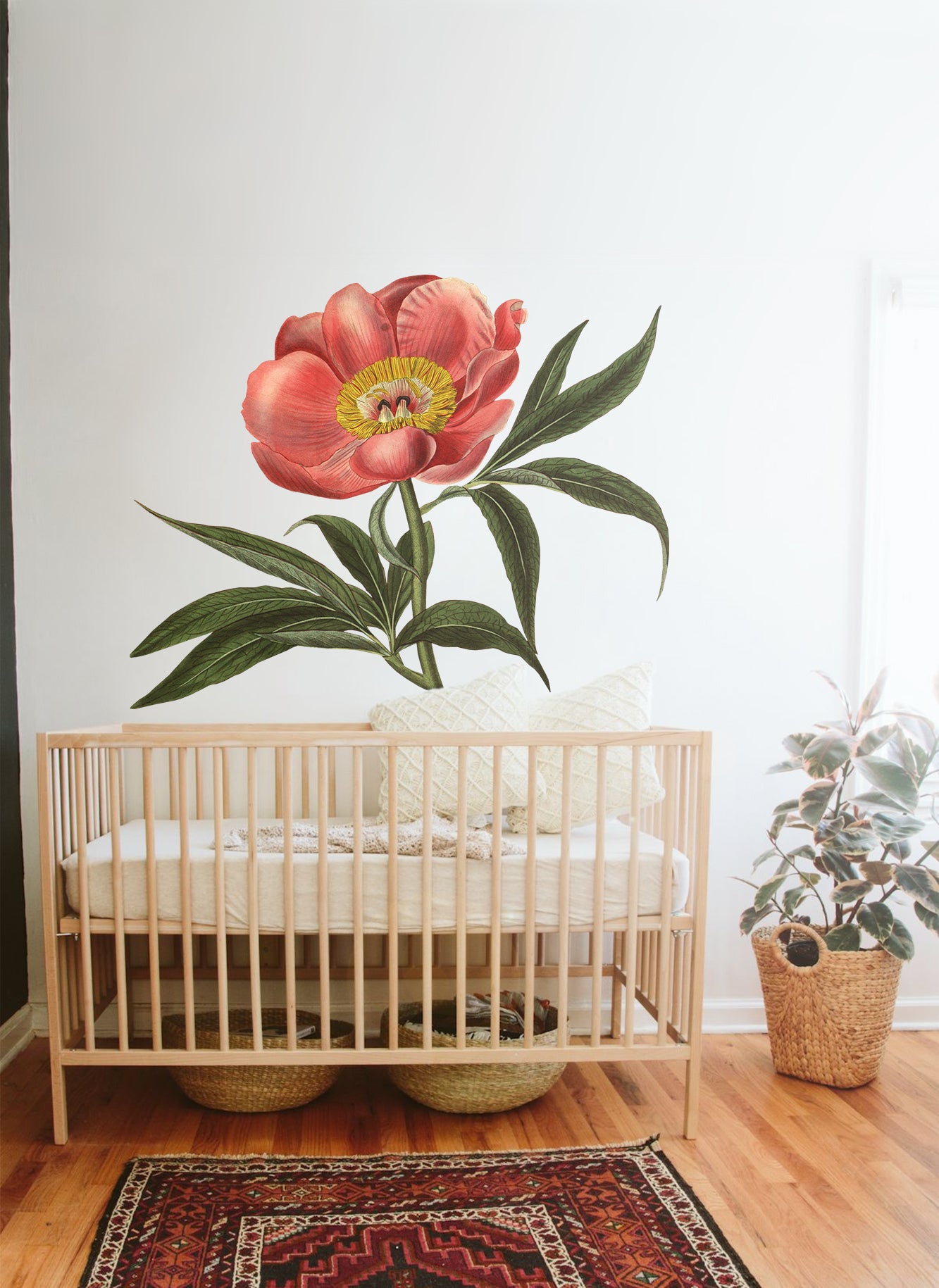 Paeonia officinalis Wall Decal Your Decal Shop Wall Decal NZ