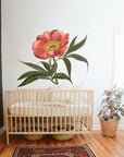 Paeonia officinalis Wall Decal Your Decal Shop Wall Decal NZ