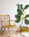 Round Leaved Gardenia Wall Decal