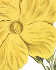 Savanna Flower Wall Decal