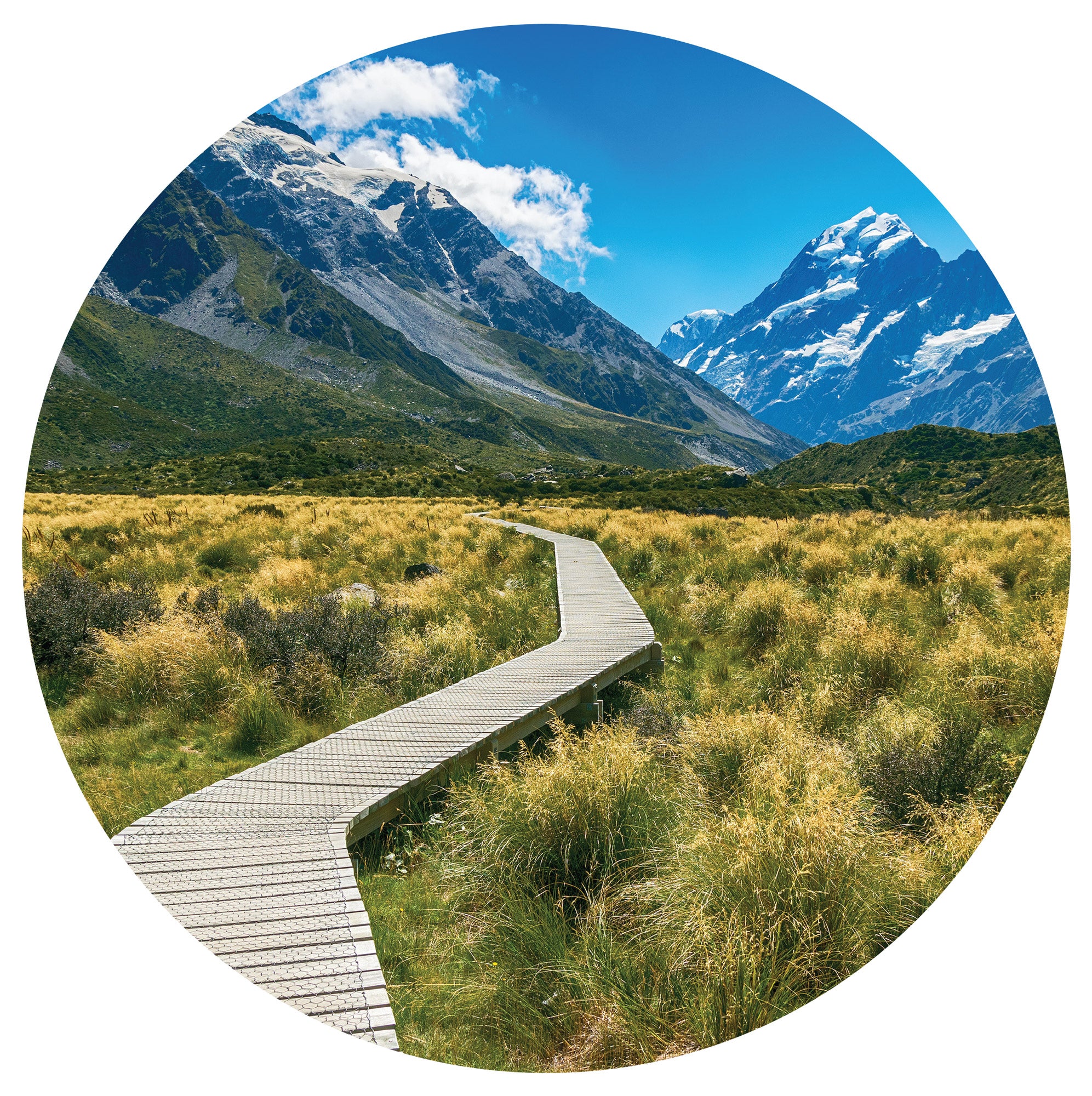 Scenic Route Mural Dot Your Decal Shop Wall Decal NZ