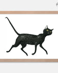Slinky Malinki Art Print