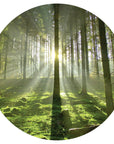 Spring Trees Mural Dot Your Decal Shop Wall Decal NZ