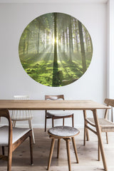 Spring Trees Mural Dot Your Decal Shop Wall Decal NZ