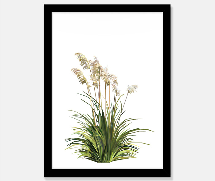 Toe Toe Art Print Your Decal Shop Wall Decal NZ