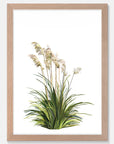 Toe Toe Art Print Your Decal Shop Wall Decal NZ