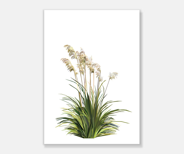 Toe Toe Art Print Your Decal Shop Wall Decal NZ