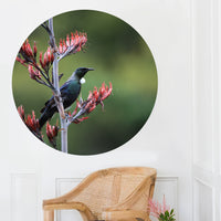Tui On Flax Flower Mural Dot Your Decal Shop Wall Decal NZ