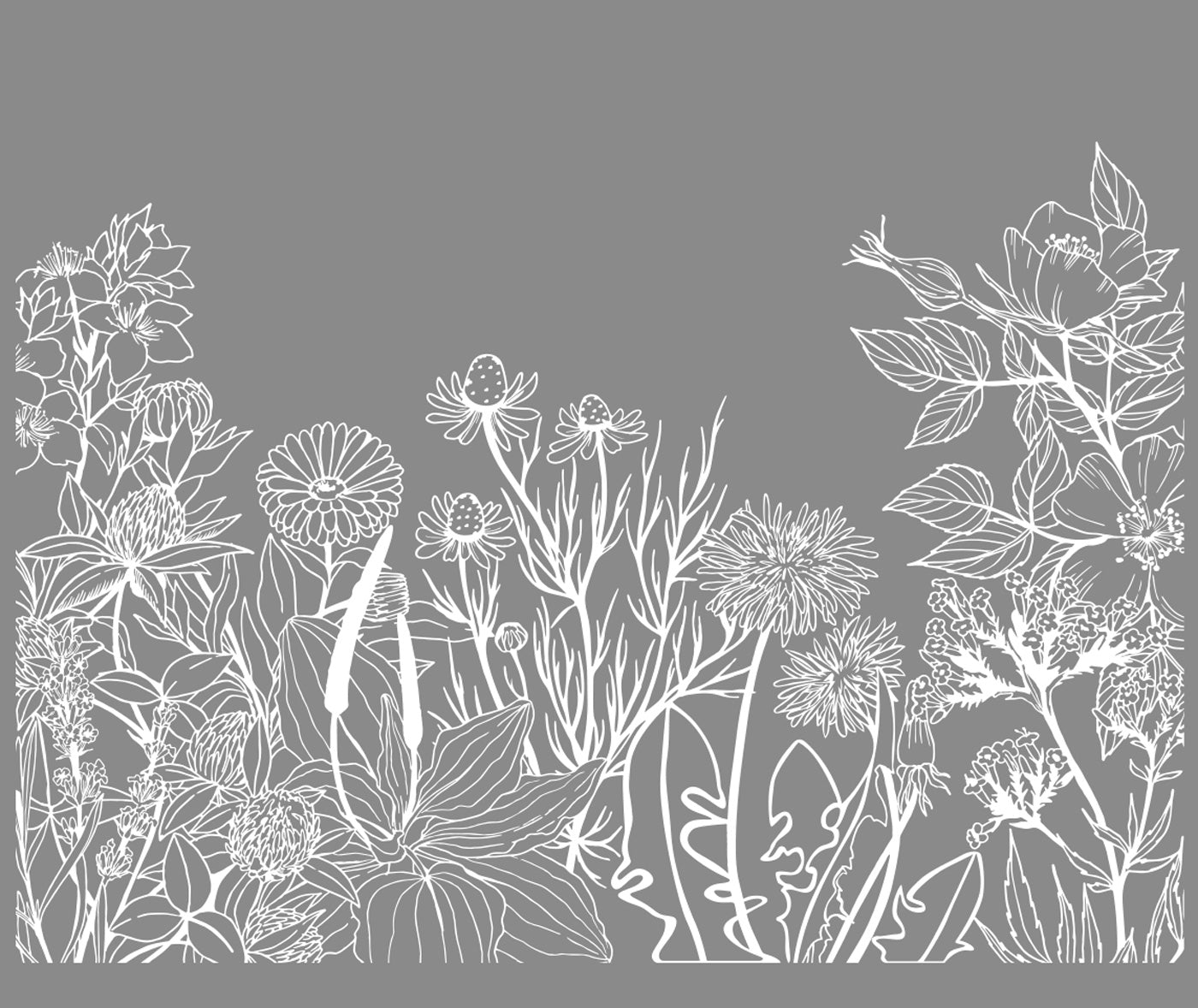 Vintage Floral Sketch Window Decal Your Decal Shop Wall Decal NZ