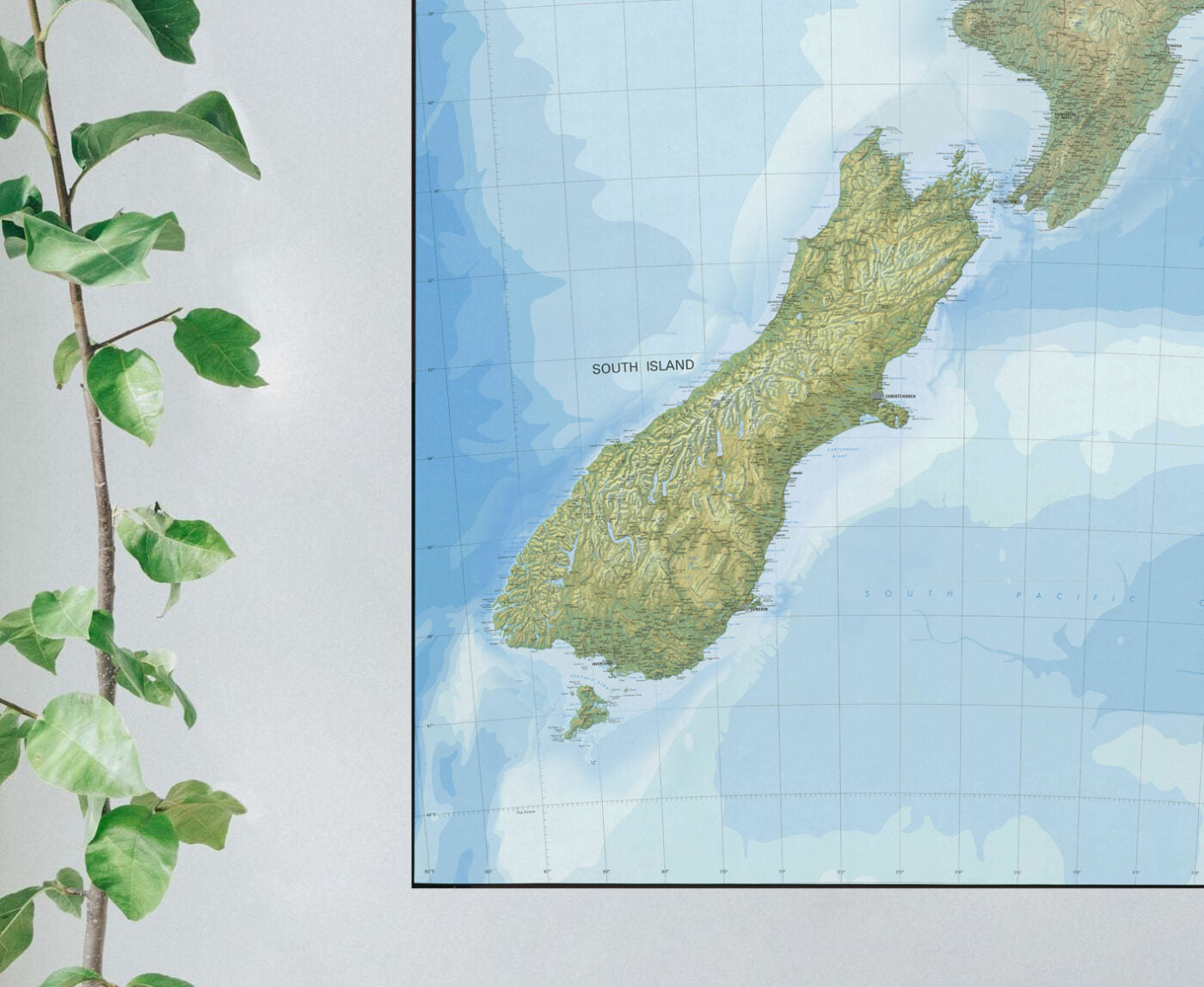 Topographic Map of New Zealand Mural Your Decal Shop Wall Decal NZ