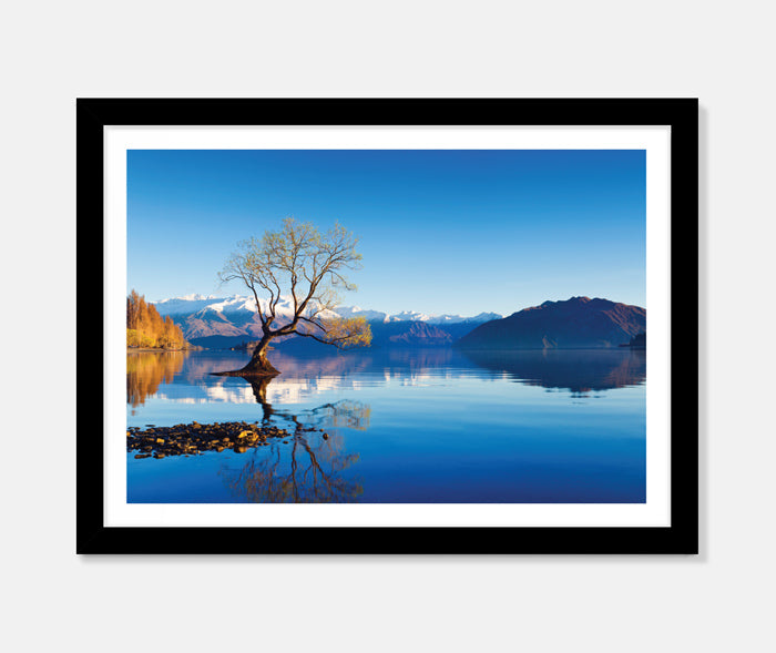 Wanaka Tree Art Print Your Decal Shop Wall Decal NZ