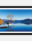 Wanaka Tree Art Print Your Decal Shop Wall Decal NZ