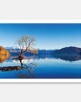 Wanaka Tree Art Print Your Decal Shop Wall Decal NZ