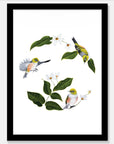 Wax Eyes In Native Clematis Art Print Your Decal Shop Wall Decal NZ