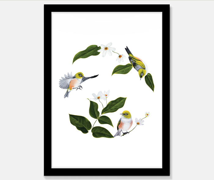 Wax Eyes In Native Clematis Art Print Your Decal Shop Wall Decal NZ