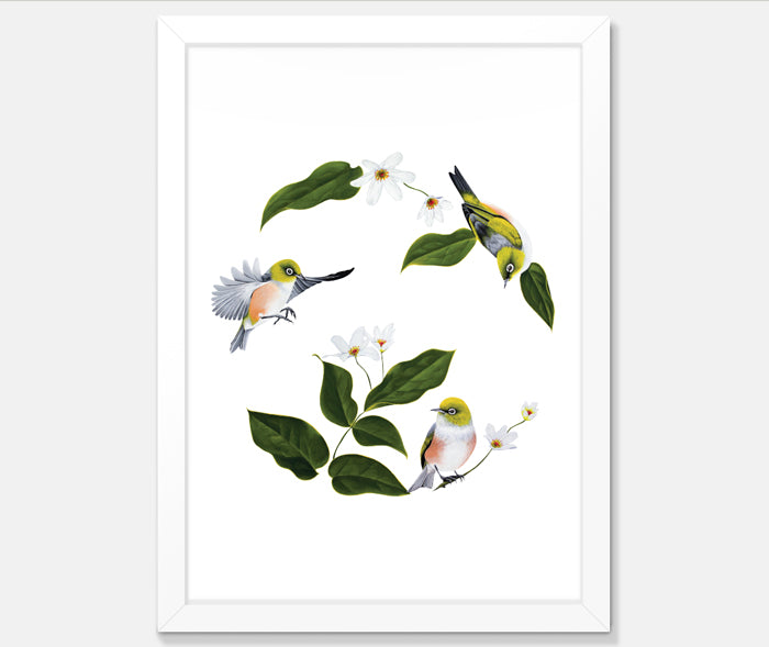 Wax Eyes In Native Clematis Art Print Your Decal Shop Wall Decal NZ