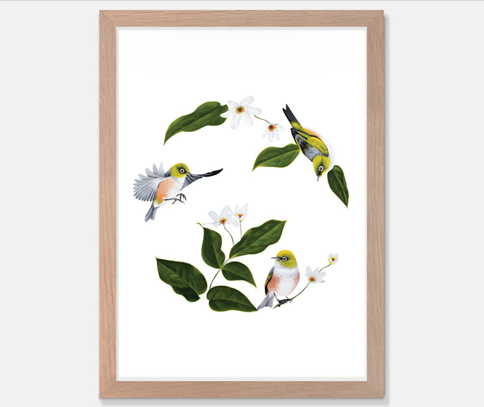 Wax Eyes In Native Clematis Art Print Your Decal Shop Wall Decal NZ