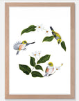 Wax Eyes In Native Clematis Art Print Your Decal Shop Wall Decal NZ