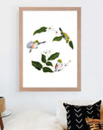 Wax Eyes In Native Clematis Art Print Your Decal Shop Wall Decal NZ