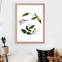 Wax Eyes In Native Clematis Art Print Your Decal Shop Wall Decal NZ