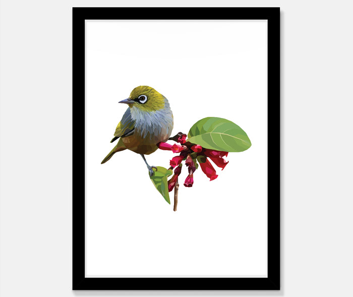 Wax Eye Art Print Your Decal Shop Wall Decal NZ