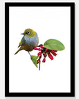 Wax Eye Art Print Your Decal Shop Wall Decal NZ