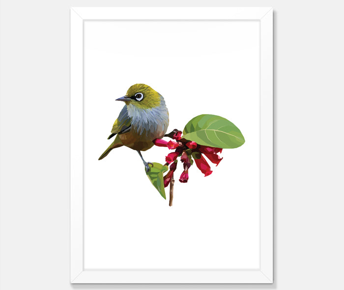 Wax Eye Art Print Your Decal Shop Wall Decal NZ