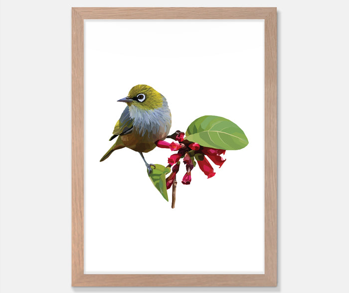 Wax Eye Art Print Your Decal Shop Wall Decal NZ