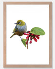 Wax Eye Art Print Your Decal Shop Wall Decal NZ