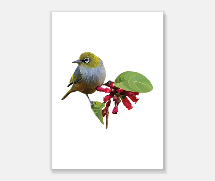 Wax Eye Art Print Your Decal Shop Wall Decal NZ