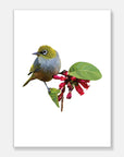 Wax Eye Art Print Your Decal Shop Wall Decal NZ