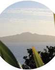 Window to Rangitoto Mural Dot Your Decal Shop Wall Decal NZ