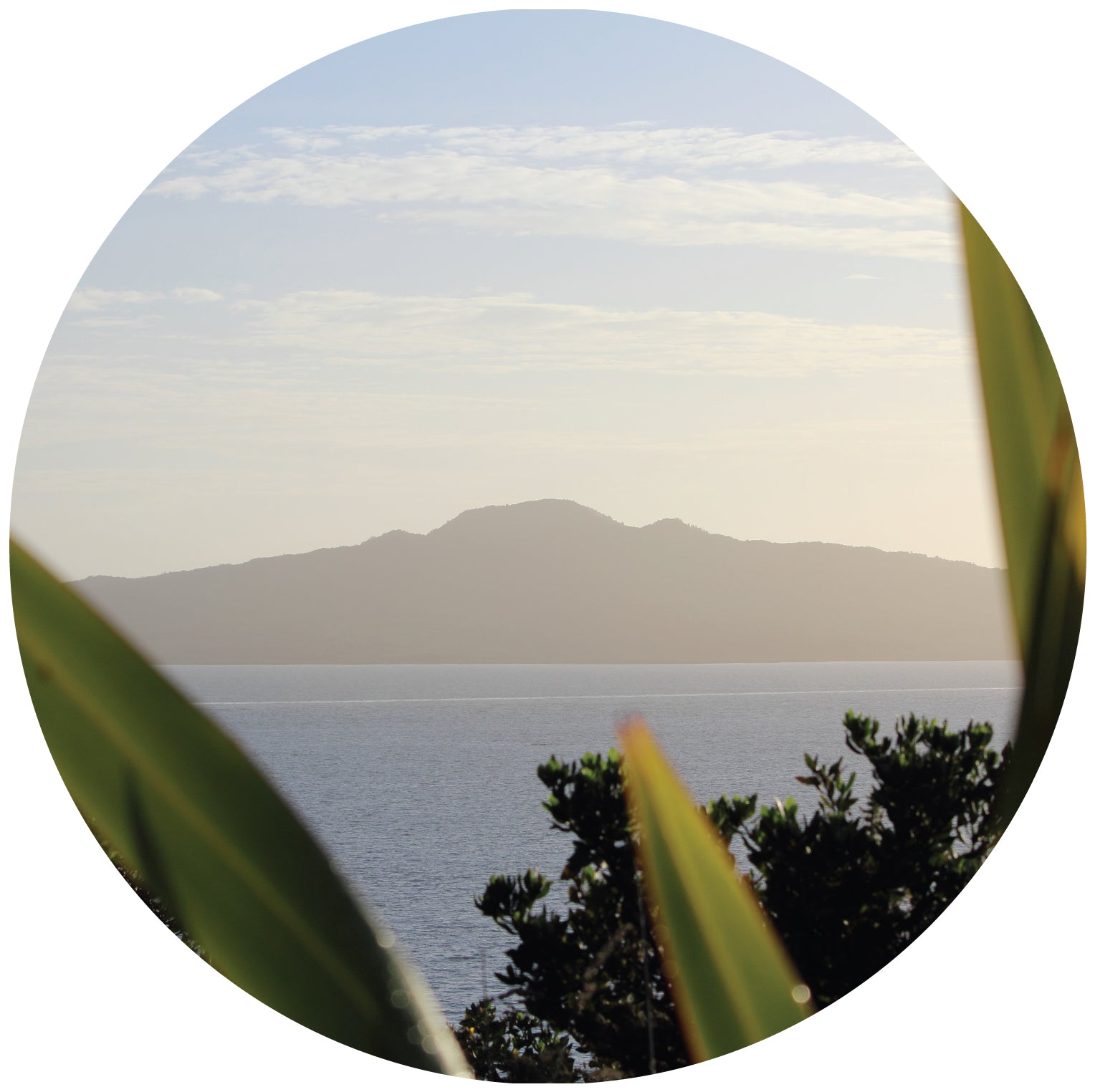 Window to Rangitoto Mural Dot Your Decal Shop Wall Decal NZ