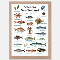 Aotearoa New Zealand Fish Species Art Print