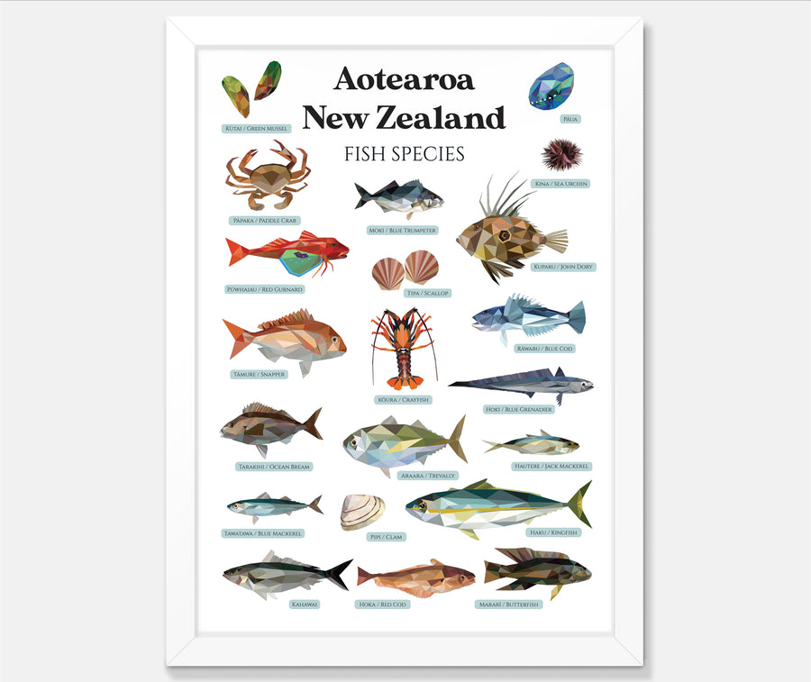 Aotearoa New Zealand Fish Species Art Print