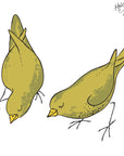 Hairy Maclary Birds
