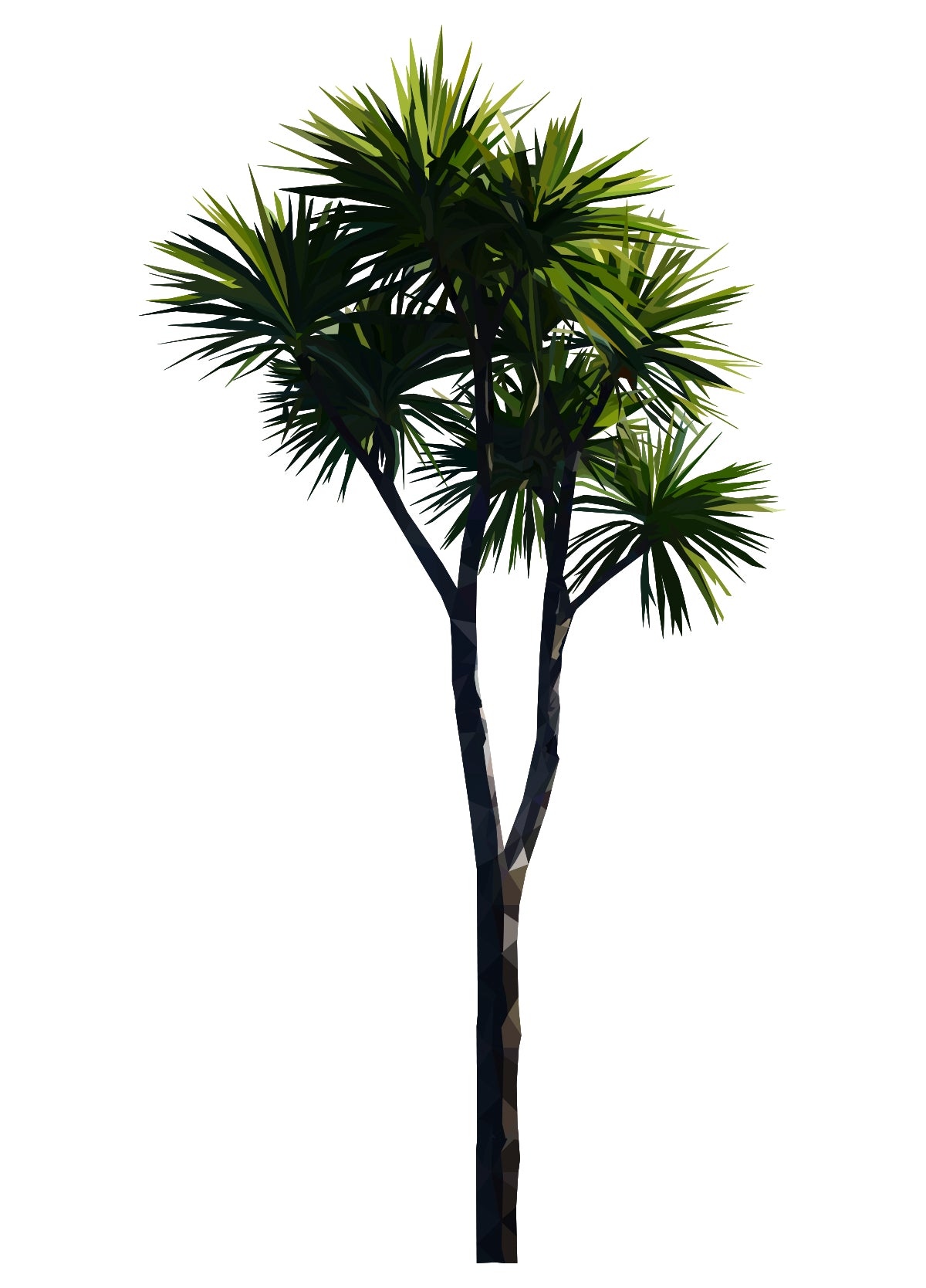 Cabbage Tree Wall Decal – YDS STUDIO