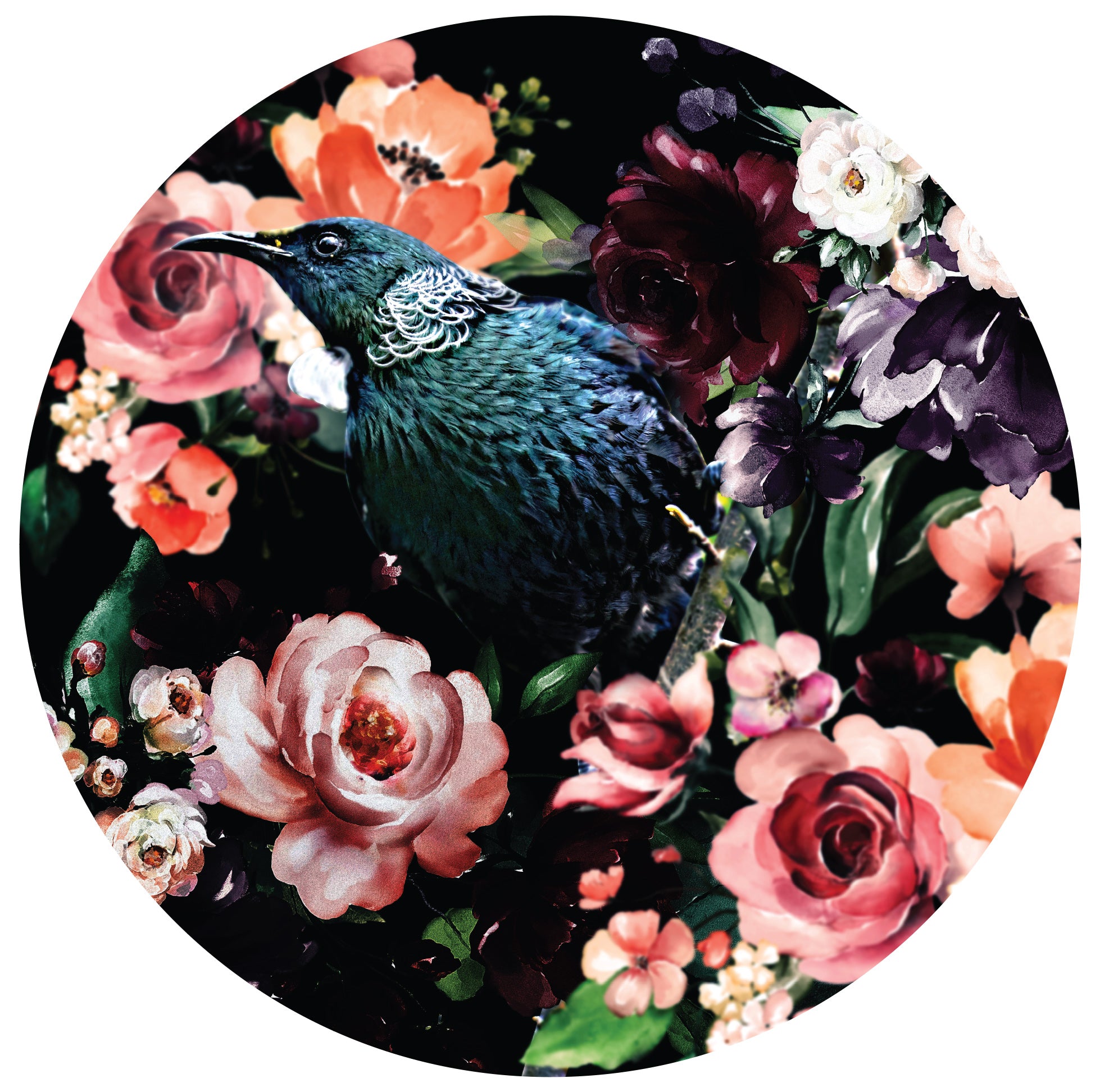 Tui in Wonderland Mural Dot Your Decal Shop Wall Decal NZ