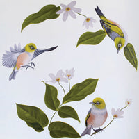 Wax Eyes In Native Clematis Wall Decal Your Decal Shop Wall Decal NZ