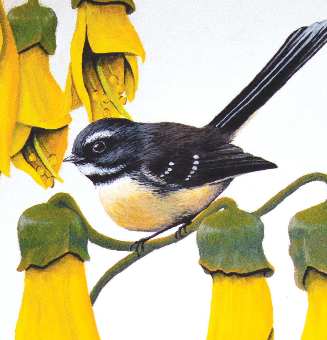 Fantails in Kowhai Wall Decal Your Decal Shop Wall Decal NZ