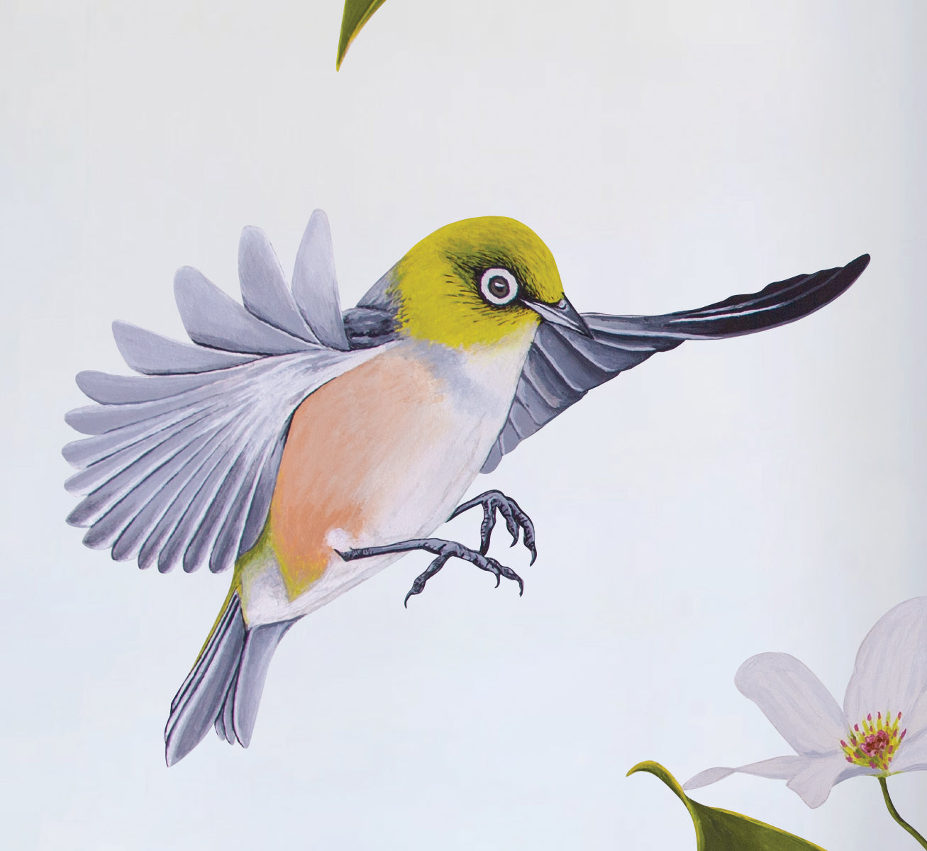 Wax Eyes In Native Clematis Wall Decal Your Decal Shop Wall Decal NZ