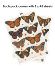 NZ Native Butterflies and Manuka Flowers