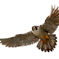 Falcon Wall Decal Your Decal Shop Wall Decal NZ