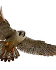 Falcon Wall Decal Your Decal Shop Wall Decal NZ